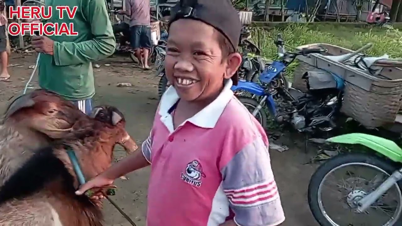 Update Harga Kambing menjelang persiapan qurban di Pasar Hewan Kedunggalar Ngawi.