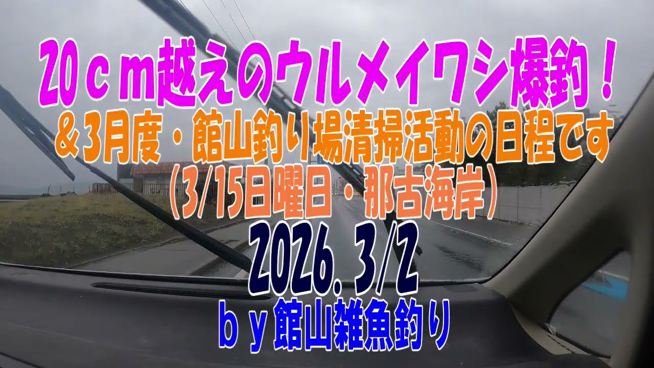 20ｃｍ越えのウルメイワシ爆釣♪3月度・館山釣り場清掃活動の日程（3/15）