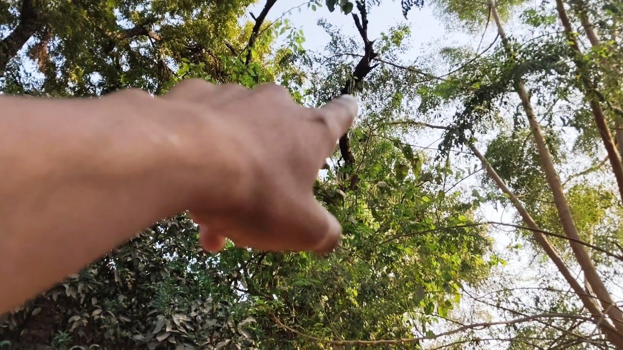 Day 10 of vlogs || Hamara purana tut ka pedha 
