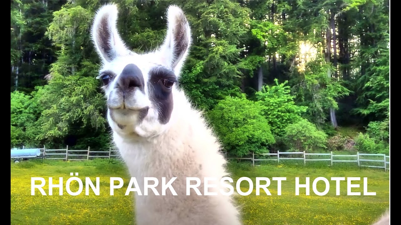 Rhön Park Resort Hotel, Rhön Wanderung zum Silbersee