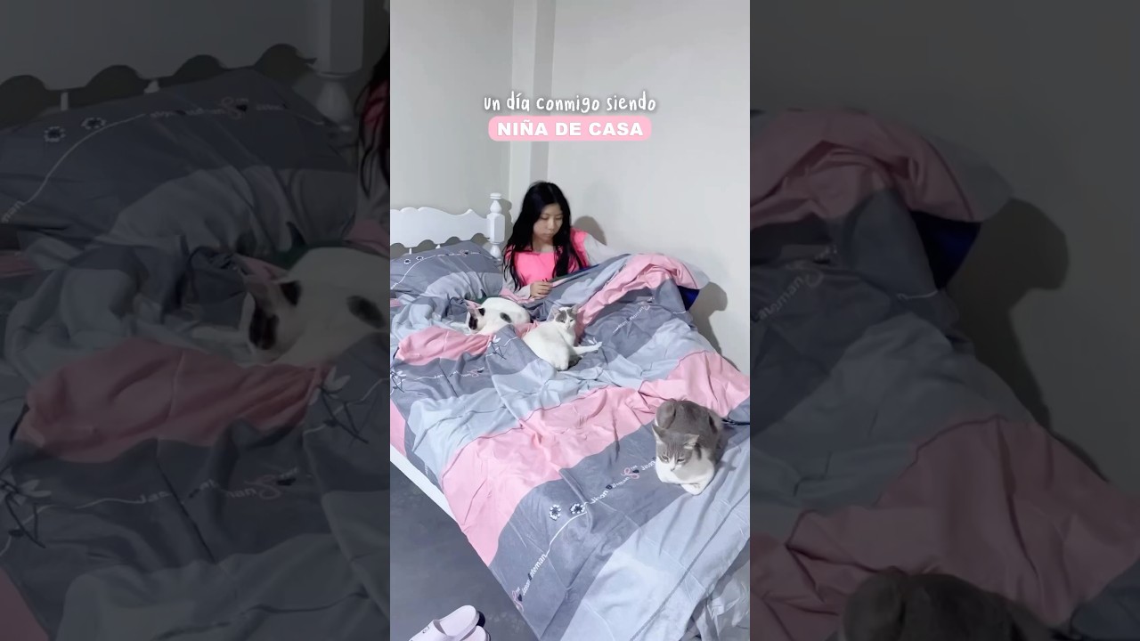 #ni&ntilde;adecasa #vlog #vlogs #rutinas #cuarto #habitacion #gatos #limpieza #productividad #vloger #per&uacute;
