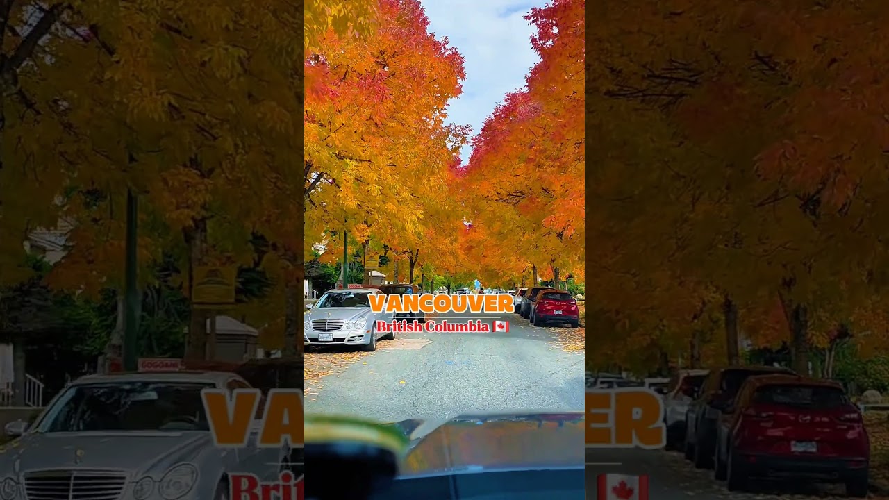 Autumn beauty.🍂🍁 Only in Vancouver British Columbia 🇨🇦 #vancouverbc #autumncolours #autumn #fall
