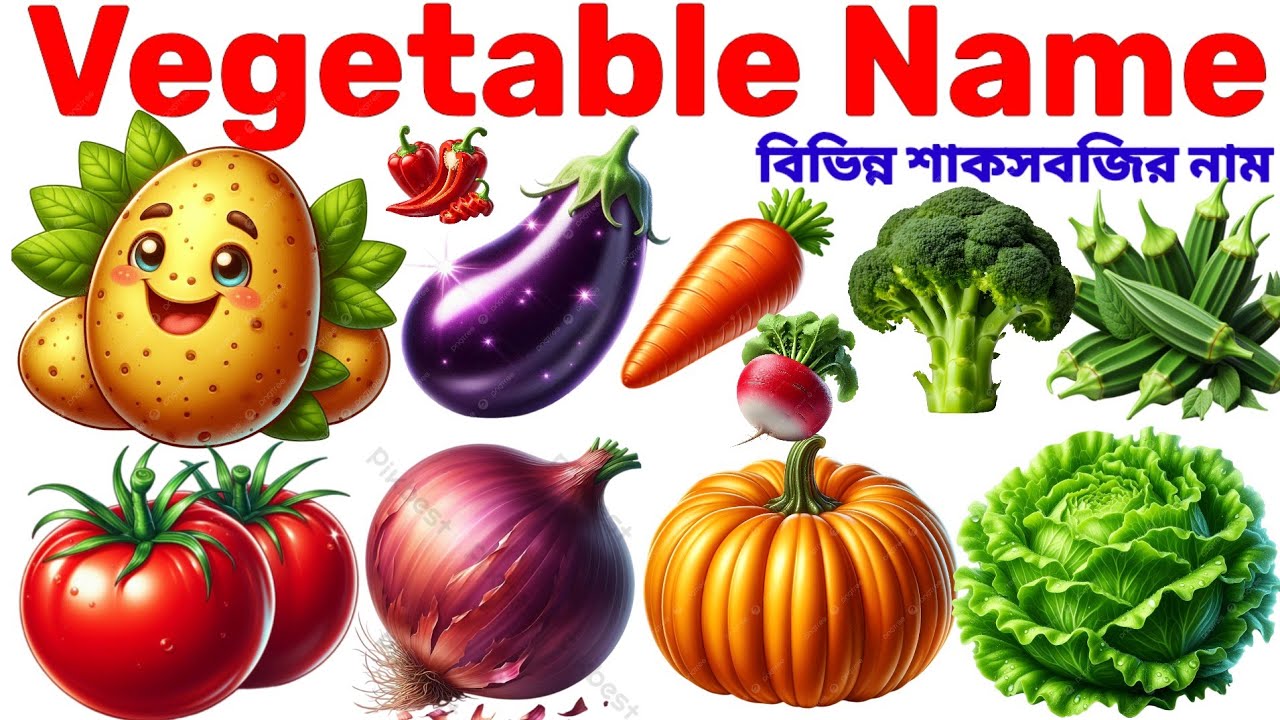 Vegetable Name in English with Pictures।30 Vegetable Name for Kids।Learn Vegetable Vocabulary 