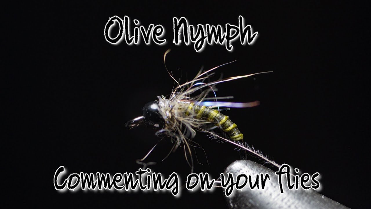 BWO Nymph and comment on the fly you tied