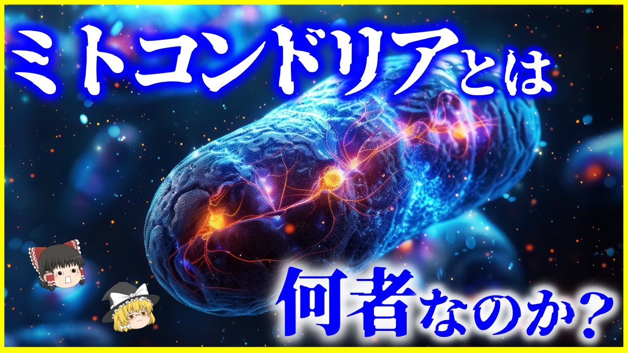 【ゆっくり解説】細胞の中に潜む“別の生き物”!?「ミトコンドリア」とは何者なのか？を解説/“共生”ではなく“乗っ取り”だった!?ミトコンドリアが握る生命進化の真相