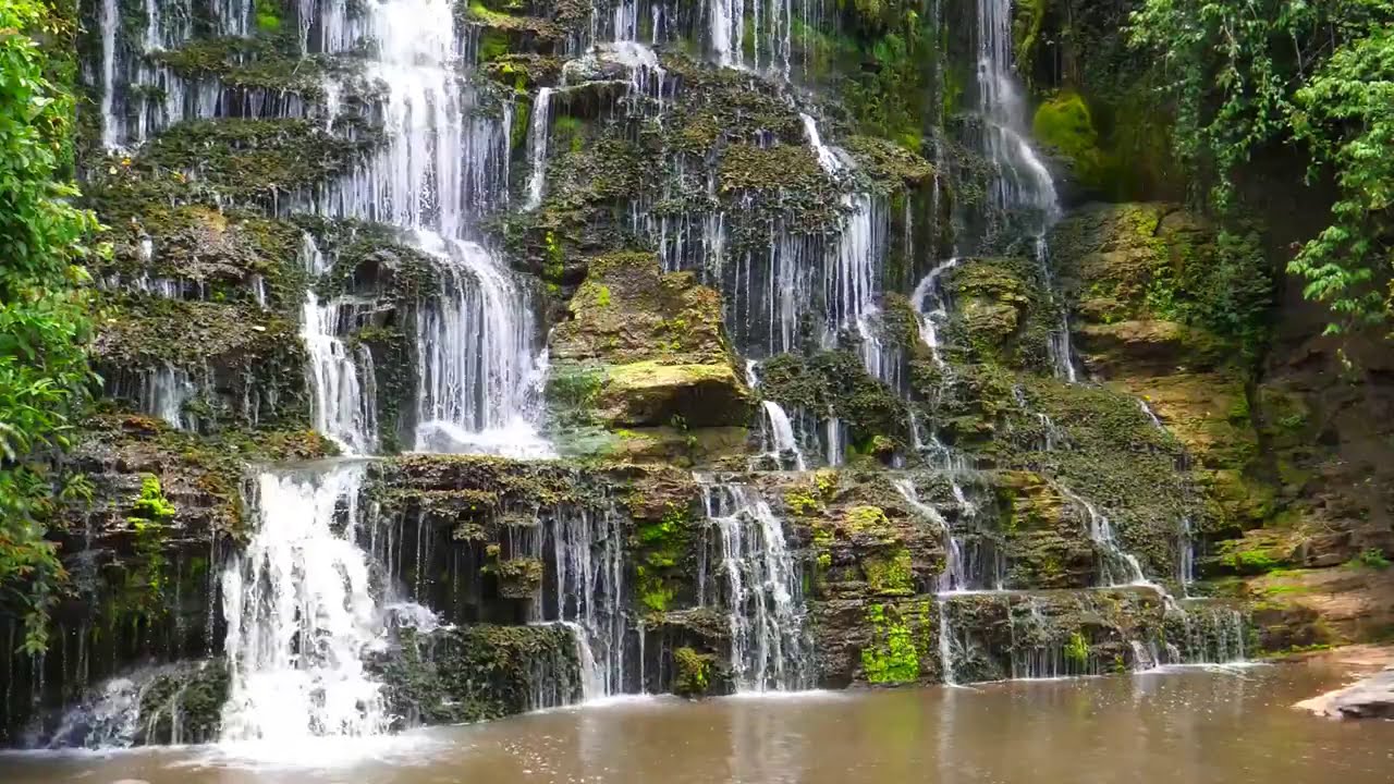 Расслабляющий Водопад в в Джунгли. Успокаивающий Природа Звуки. (10 часы). белый шум для спать.