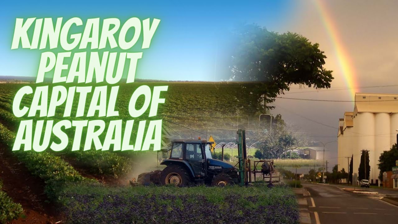 Kingaroy Town Peanut  Capital of Australia Ultimate Holiday Guide &ndash; Explore Queensland