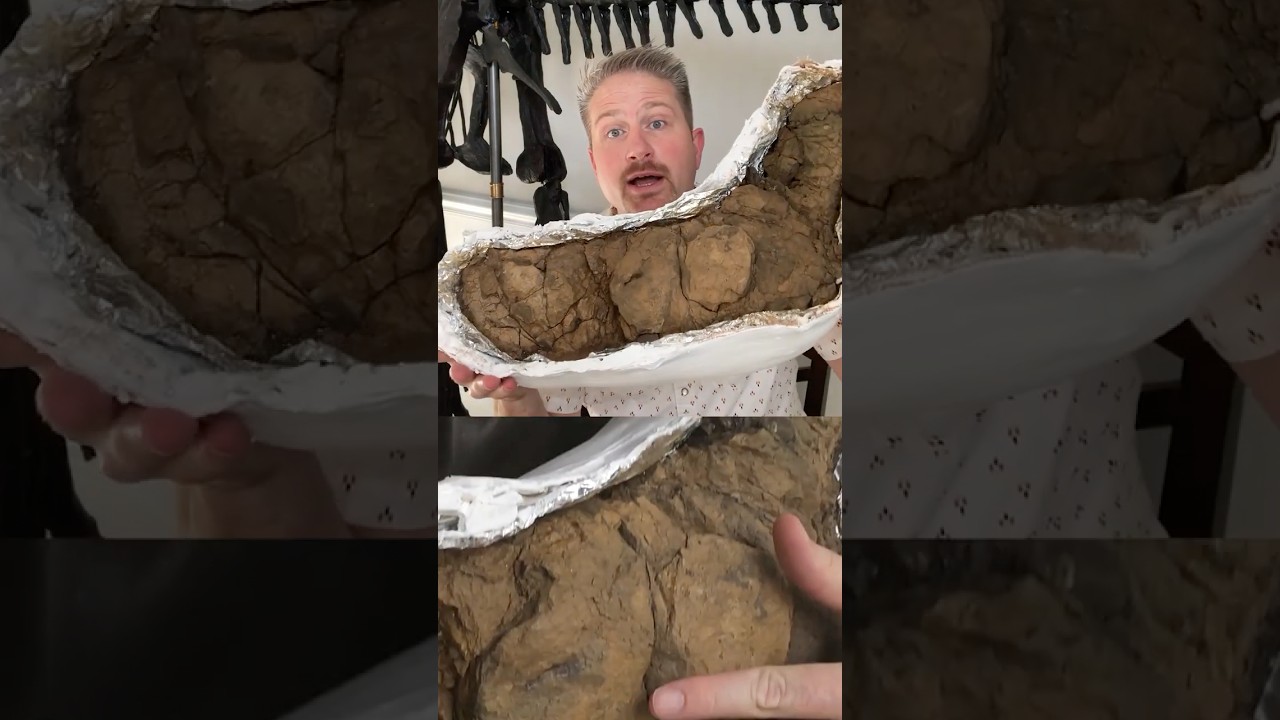 Largest collection of fossilized poop 🦖