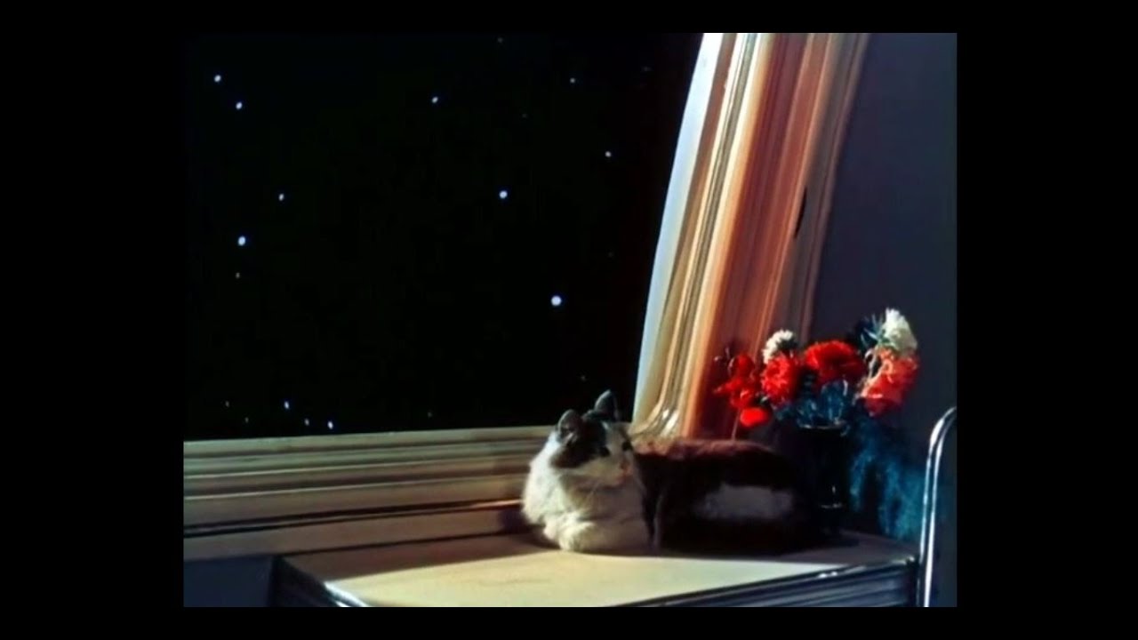Buscabulla - Métele (Road to the Stars 1957) / Unofficial