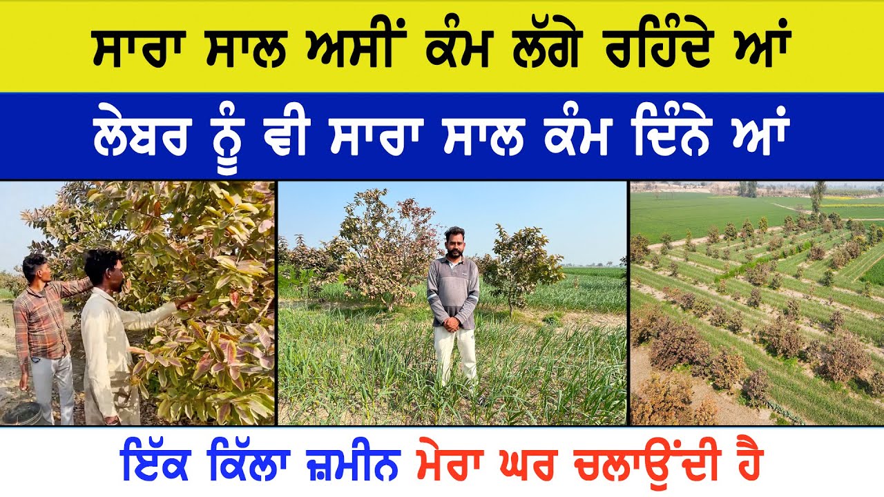 ਵਿਹਲੜਪੁਣੇ ਤੋਂ ਅਸੀਂ ਦੂਰ ਆਂ