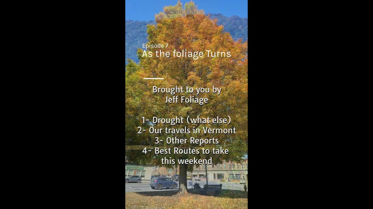 17 Sept foliage report for New England