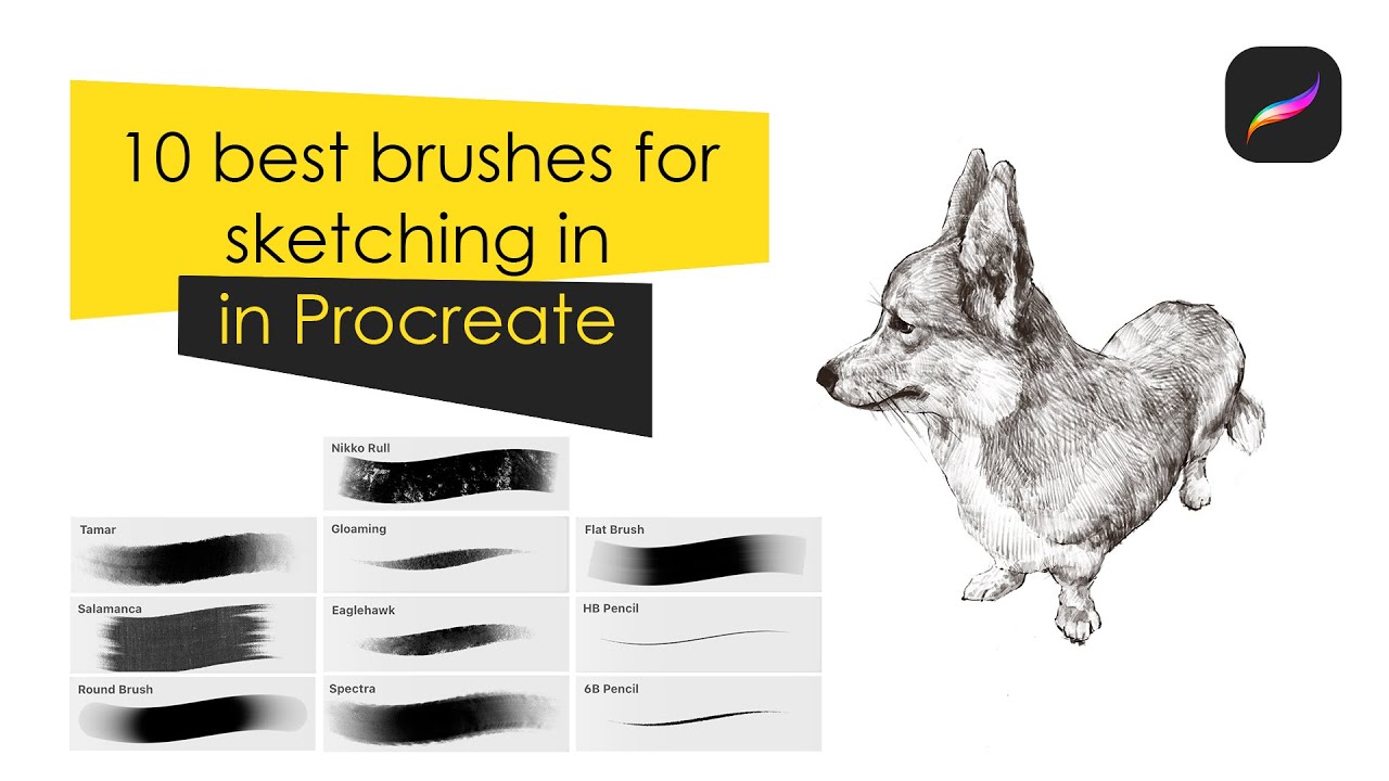 Best Default Brushes For Sketching In Procreate