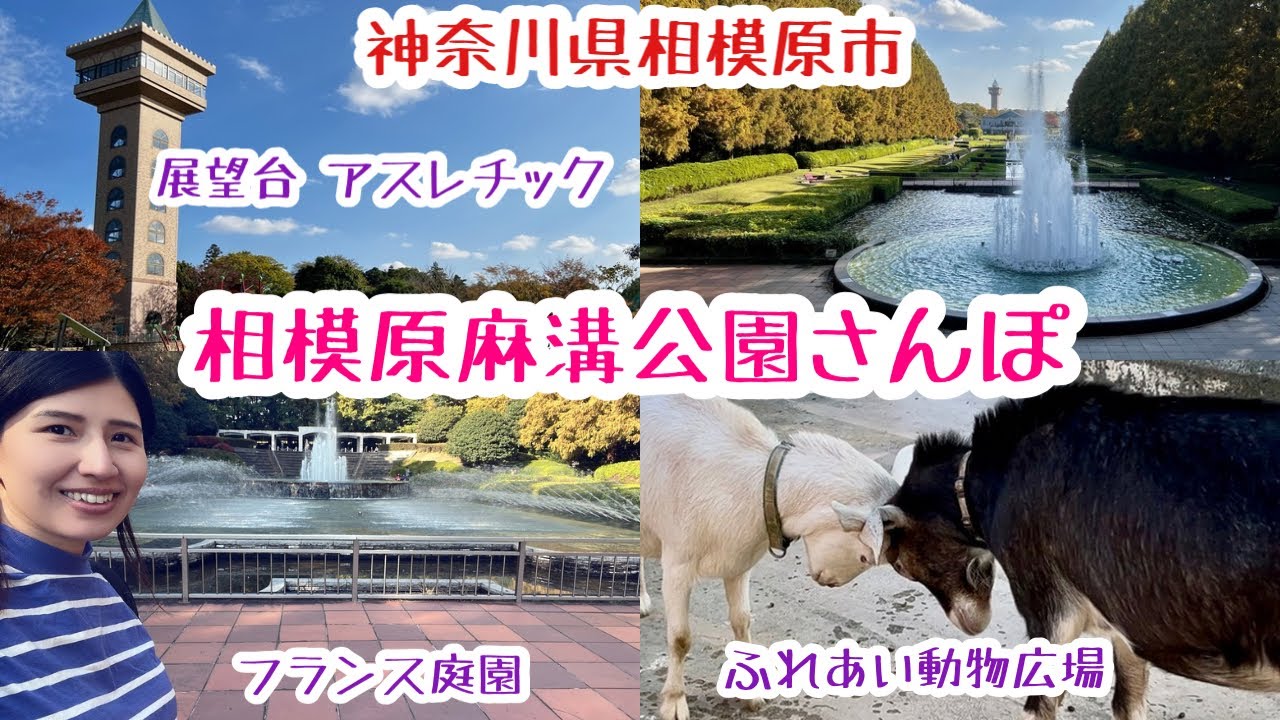 【神奈川県】相模原麻溝公園紹介さんぽ／ふれあい動物広場／フランス庭園／植物園／アスレチック／家族でおでかけ／ドッグラン