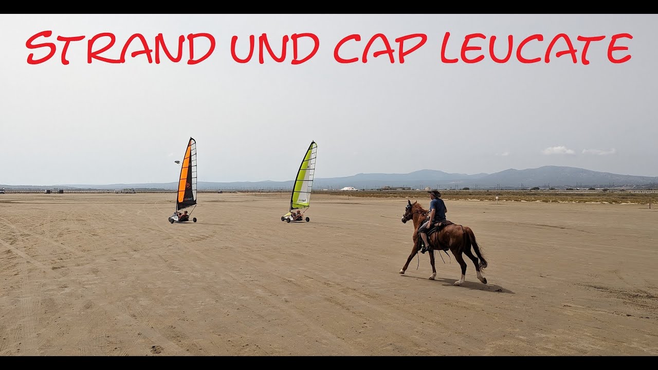 Mein Pferd am Mittelmeer!!! Wir jagen Strandsegler und haben Spaß #wanderreiten