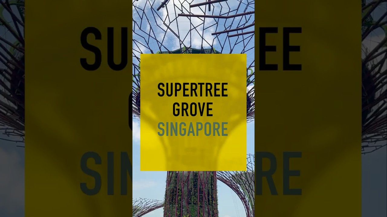 Singapore Supertree Grove - What to expect