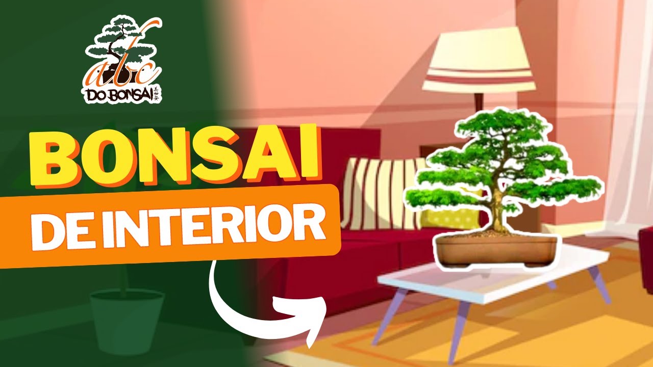 BONSAI DENTRO DE CASA | CUIDADOS