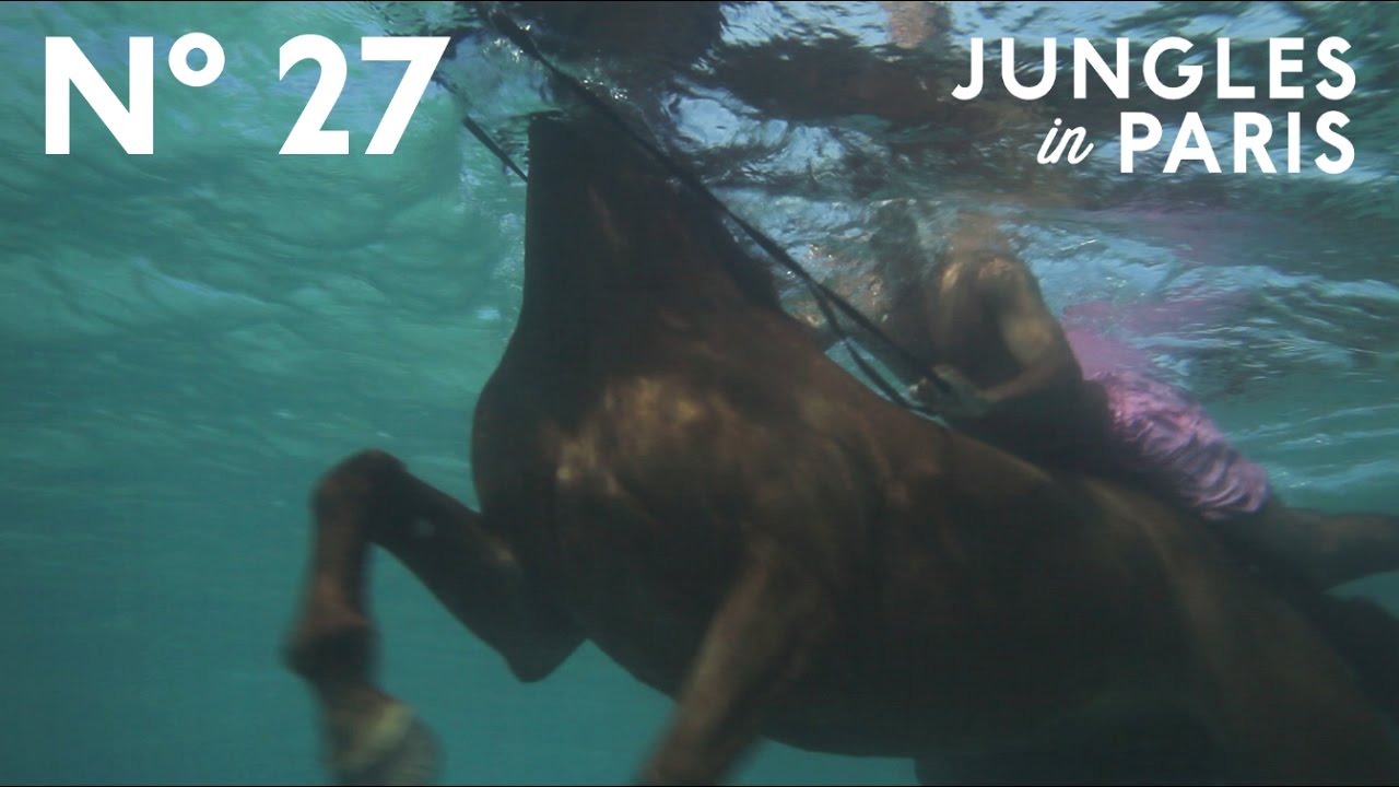 Swimming Horses of the Caribbean (Montego Bay, Jamaica)