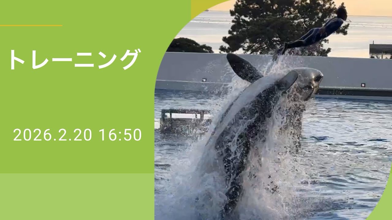 トレーニング　2026.2.20 16:50