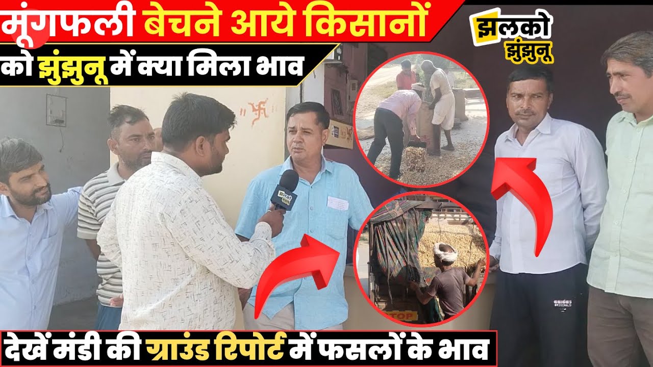 झुंझुनू की मंडी में किसानों को क्या मिल रहा है फसलों का भाव, जानें ग्राउंड रिपोर्ट में~JhunjhunuNews
