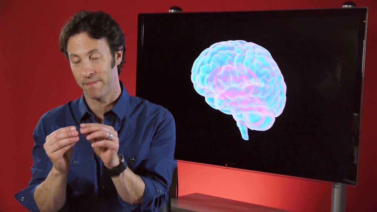 Your Brain is You: A Most Complex System (Part 1 of 6)