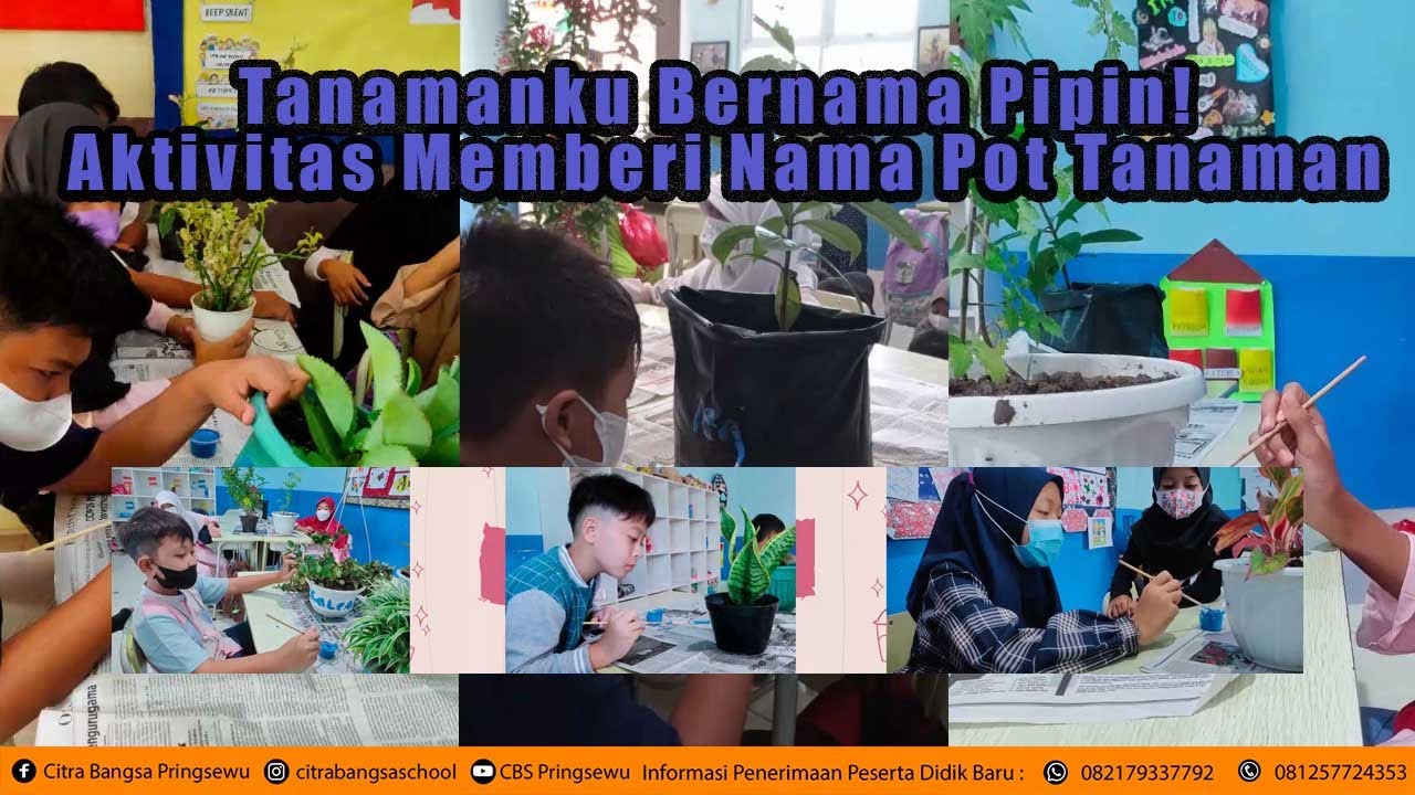 Tanamanku Bernama Pipin!  Aktivitas Memberi Nama Pot Tanaman