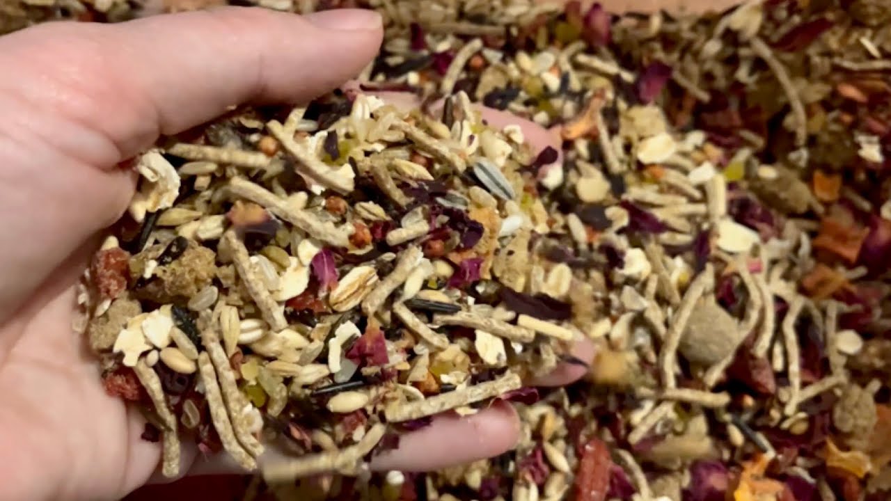 Superfoods I feed my rats and mice | homemade rat and mouse food