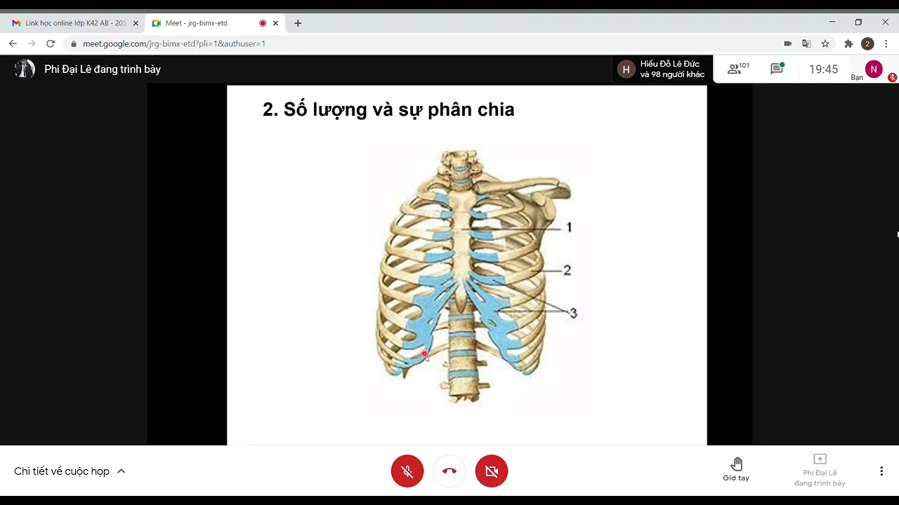 ĐẠI CƯƠNG HỆ XƯƠNG