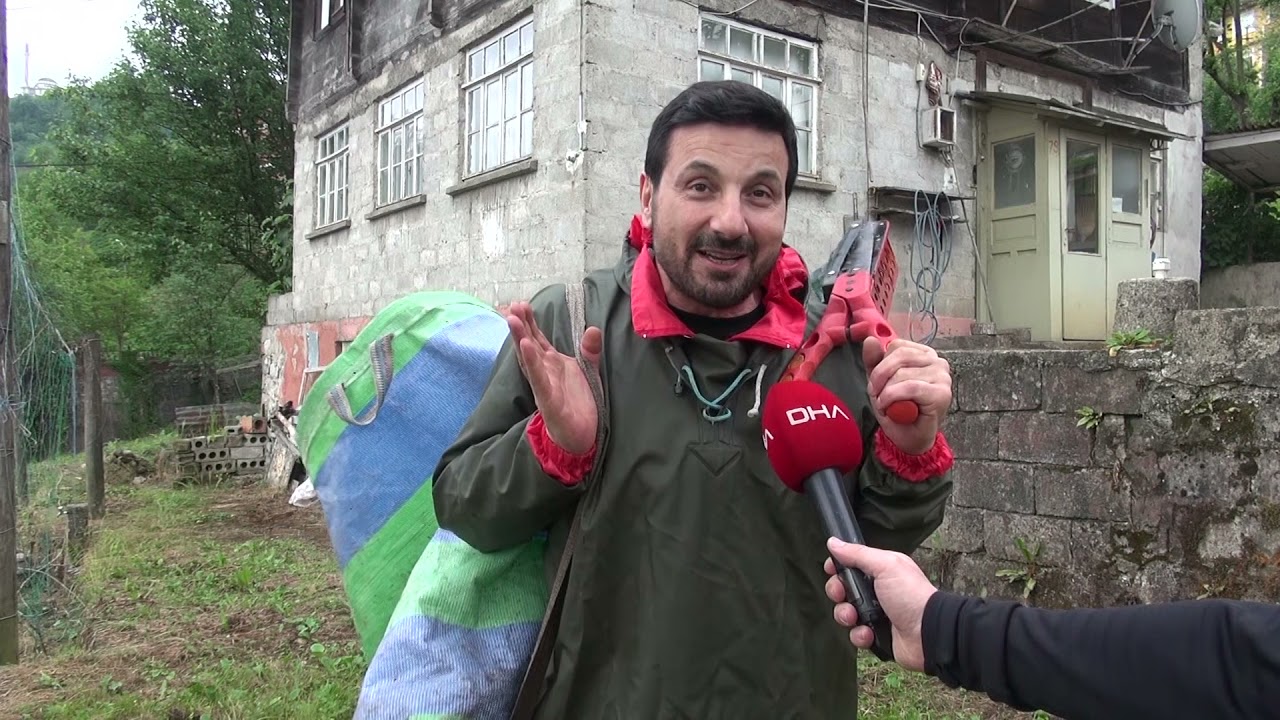 Davut Güloğlu Rize'de çay topladı