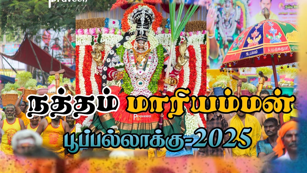 பூப்பல்லாக்கில்  நத்தம்  மாரியம்மன் மாசி பெருந்திருவிழா 2025|| Natham MariAmman PoOkUli