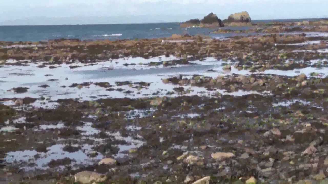 Dunure