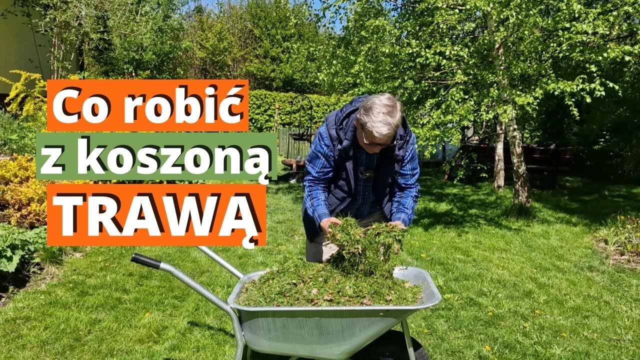 Jak wykorzystać koszoną trawę w ogrodzie? Ściółkowanie trawą i kompostowanie. Ogród ekologiczny.