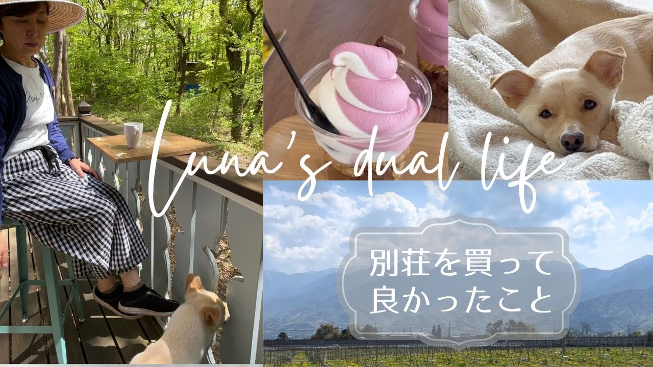【二拠点生活】別荘を買って良かったこと/山菜採り/ターシャテューダ/八ヶ岳/60代vlog