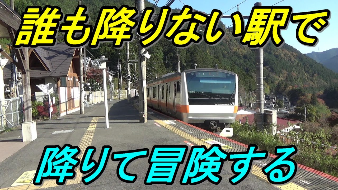 【青梅線の下車0人駅】東京一の秘境駅へ！アドベンチャーラインの真の楽しみ方！