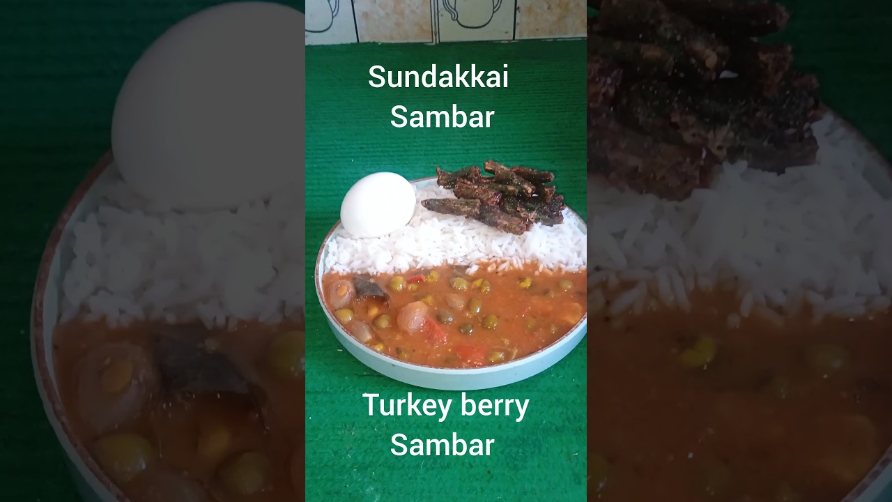 Sundakkai Sambar|Turkey Berry Sambar|It's Very Tasty And Healthy Recipe|Try It One's|Menu Queen 😋😋