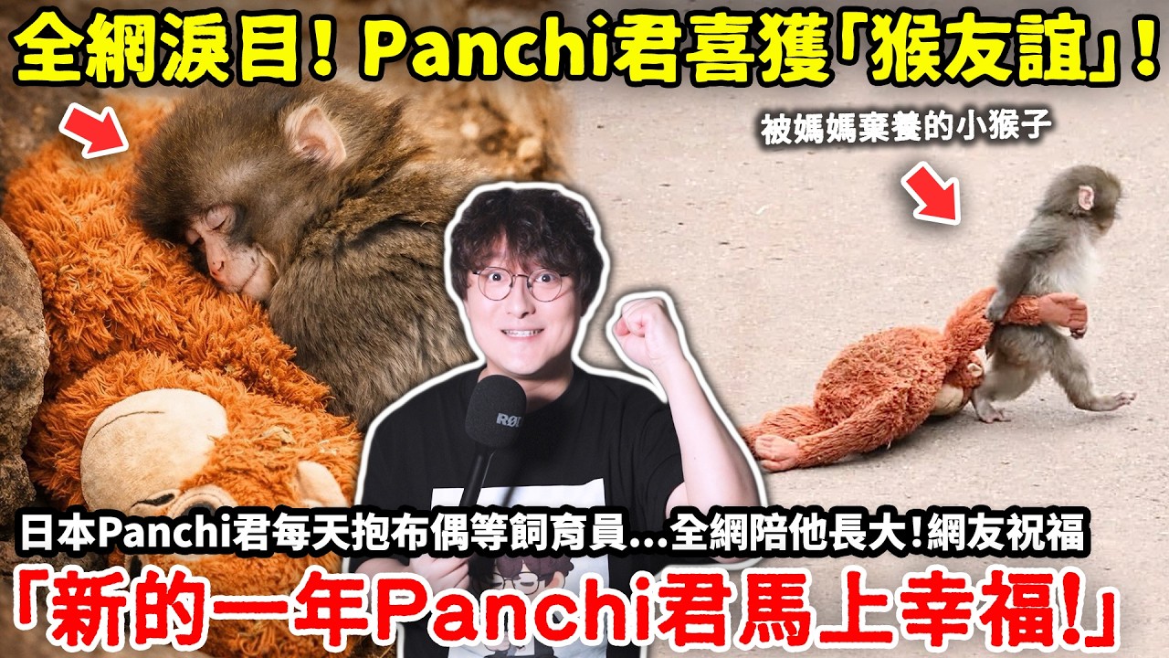 全網淚目！日本Panchi君喜獲「猴友誼」！被媽媽遺棄的小猴子「Panchi君」每天抱布偶等飼育員...全網陪他長大！網友祝福「新的一年Panchi君馬上幸福！」小鄭