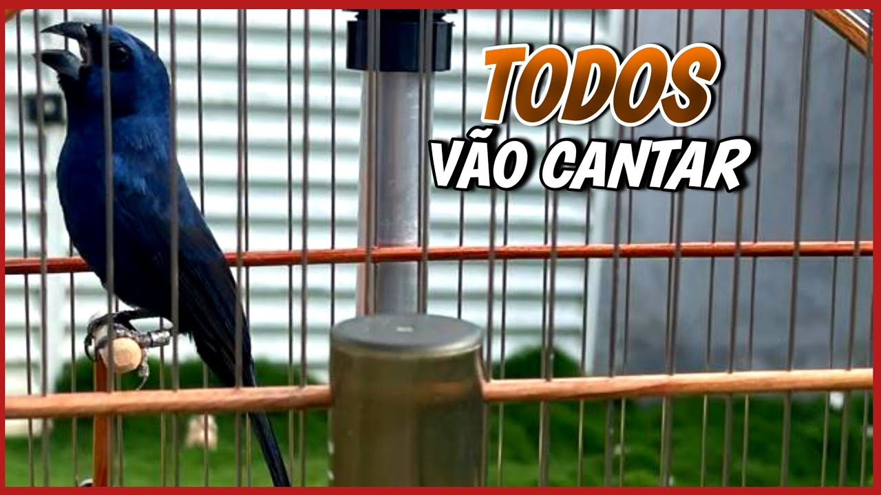 MACETES que uso em CASA pra DEIXAR AZUL&Atilde;O fogos&oacute; P&Oacute;S MUDA 🔥