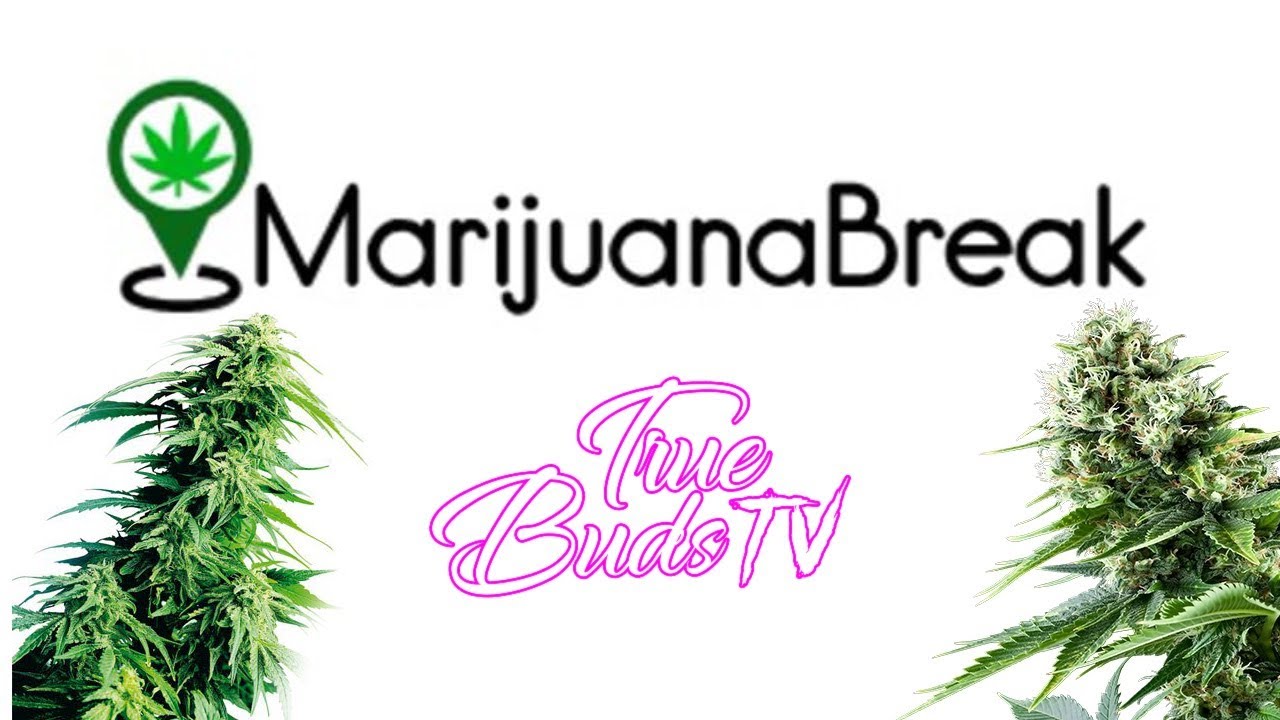 Marijuana Break Review: Marijuanabreak.com
