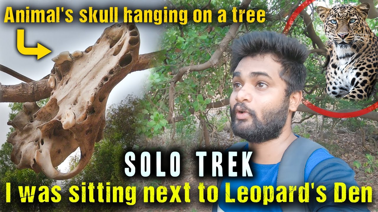 SOLO TREK at Sanjay Gandhi National Park | SGNP