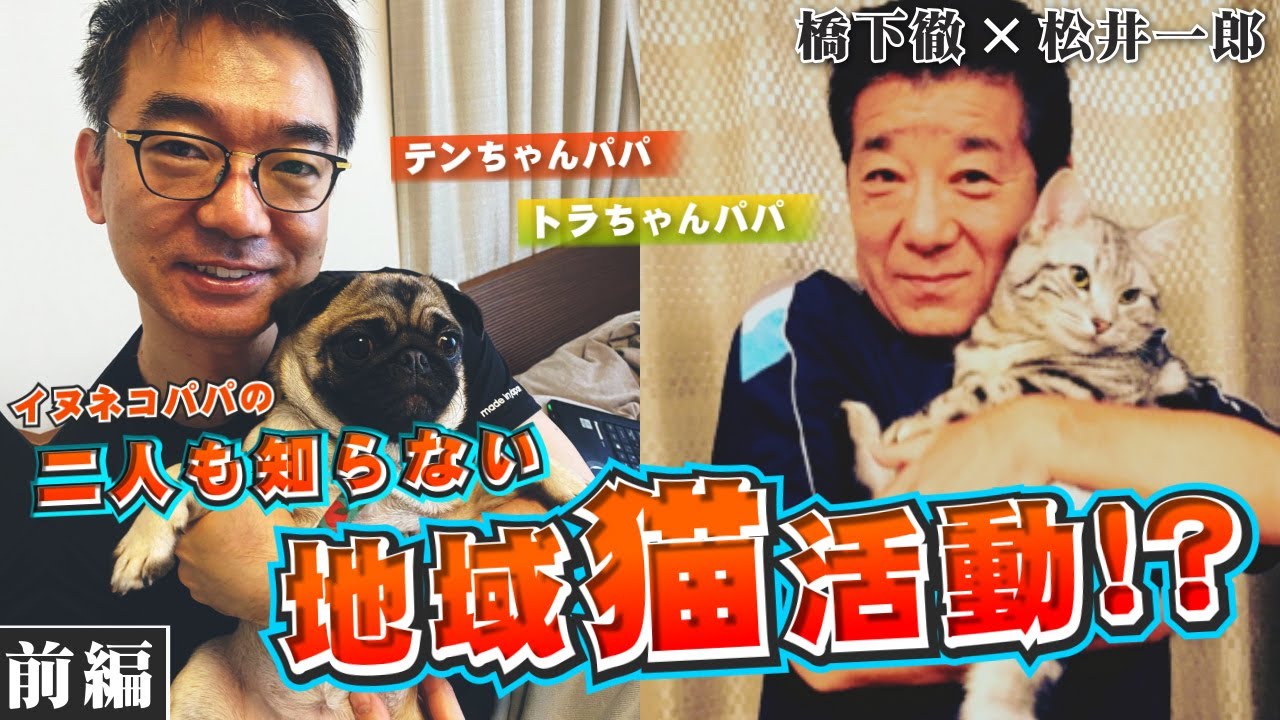 【松井一郎と橋下徹】野良ネコ？保護ネコ！？皆に知ってほしい地域猫活動！！【前半】