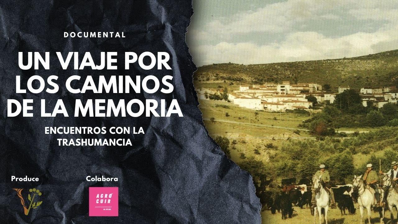 Un viaje por los caminos de la memoria