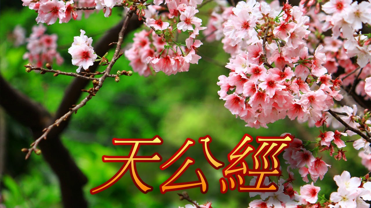 CG5618-閩南語道經-天公經-【天公經】【妙蓮華、CD、念佛機、禮儀用品、佛事用品全省佛文物，指名請購第一品牌】
