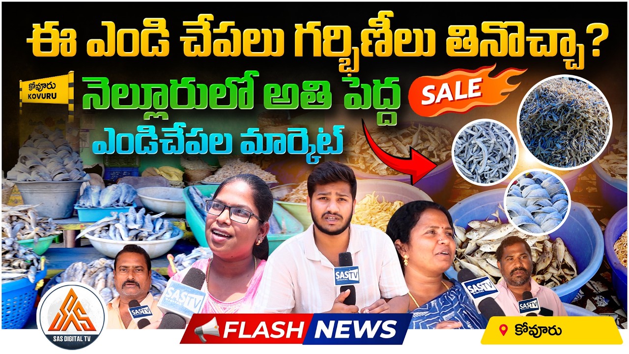 Nellore’s Biggest Dry Fish Market | Can Pregnant Women Eat These Dry Fish? | SASTv