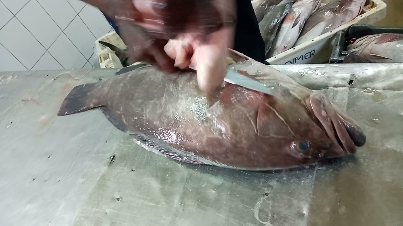 M&eacute;rou blanc Thiof vid&eacute;