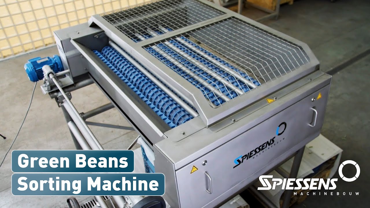 Green Bean Sorting Machine I Spiessens