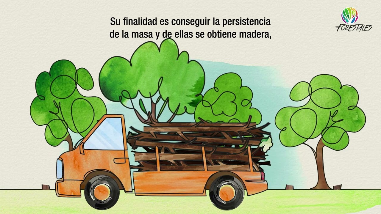 Gestión forestal sostenible: los tratamientos selvícolas en masas arboladas
