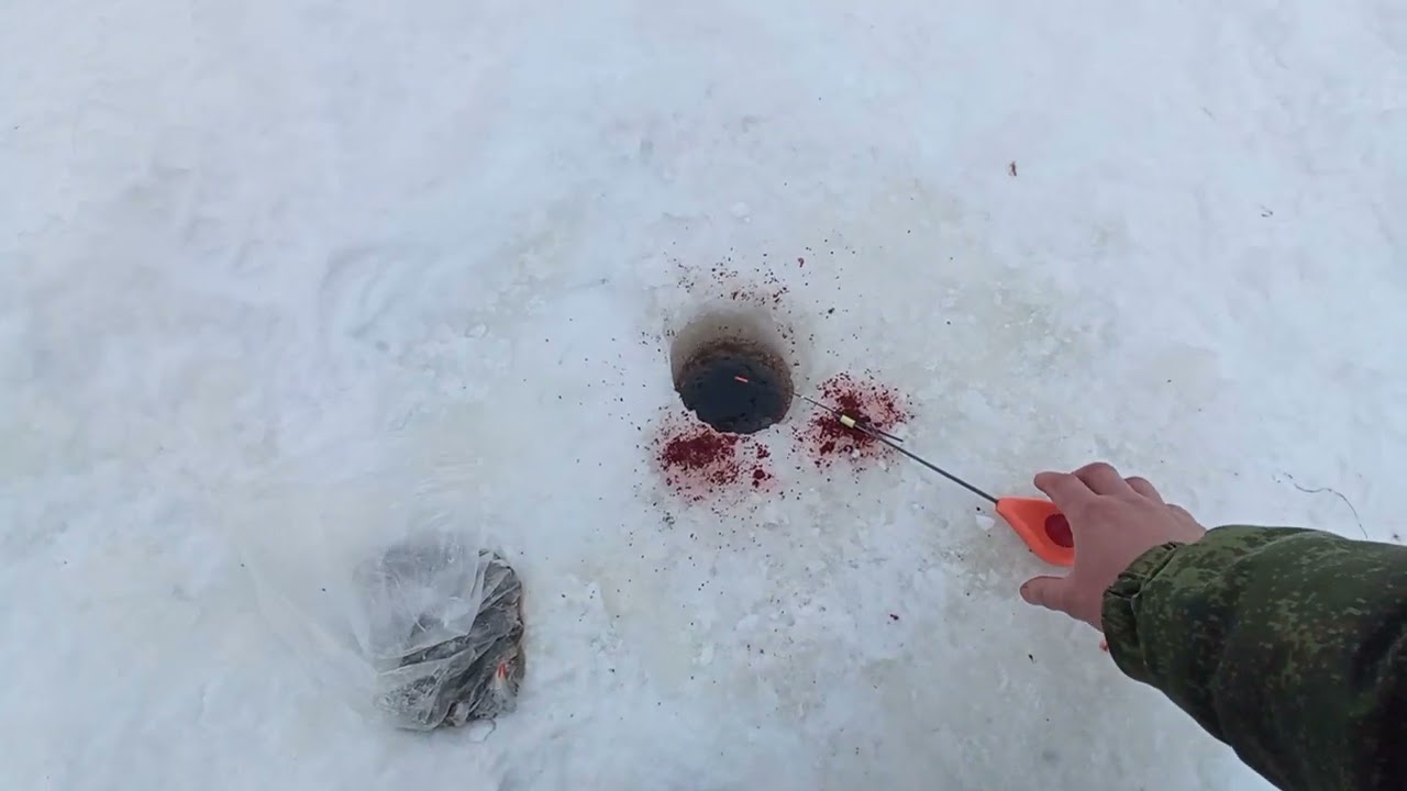 С мормышкой в глухозимье/ерши и носари спасли рыбалку🪣😀 Березина,судоремонтный затон,Бобруйск. 
