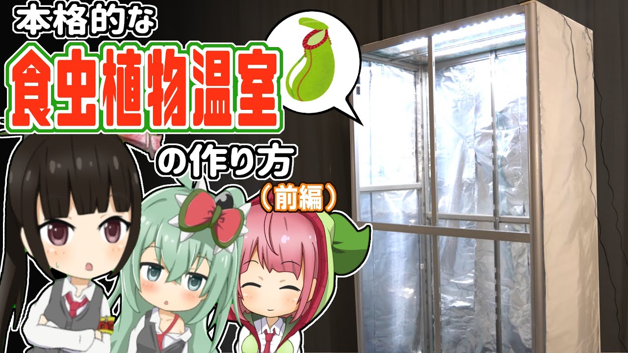 本格的な食虫植物室内温室を1から組み立ててみた！(前編)【食虫植物TV】