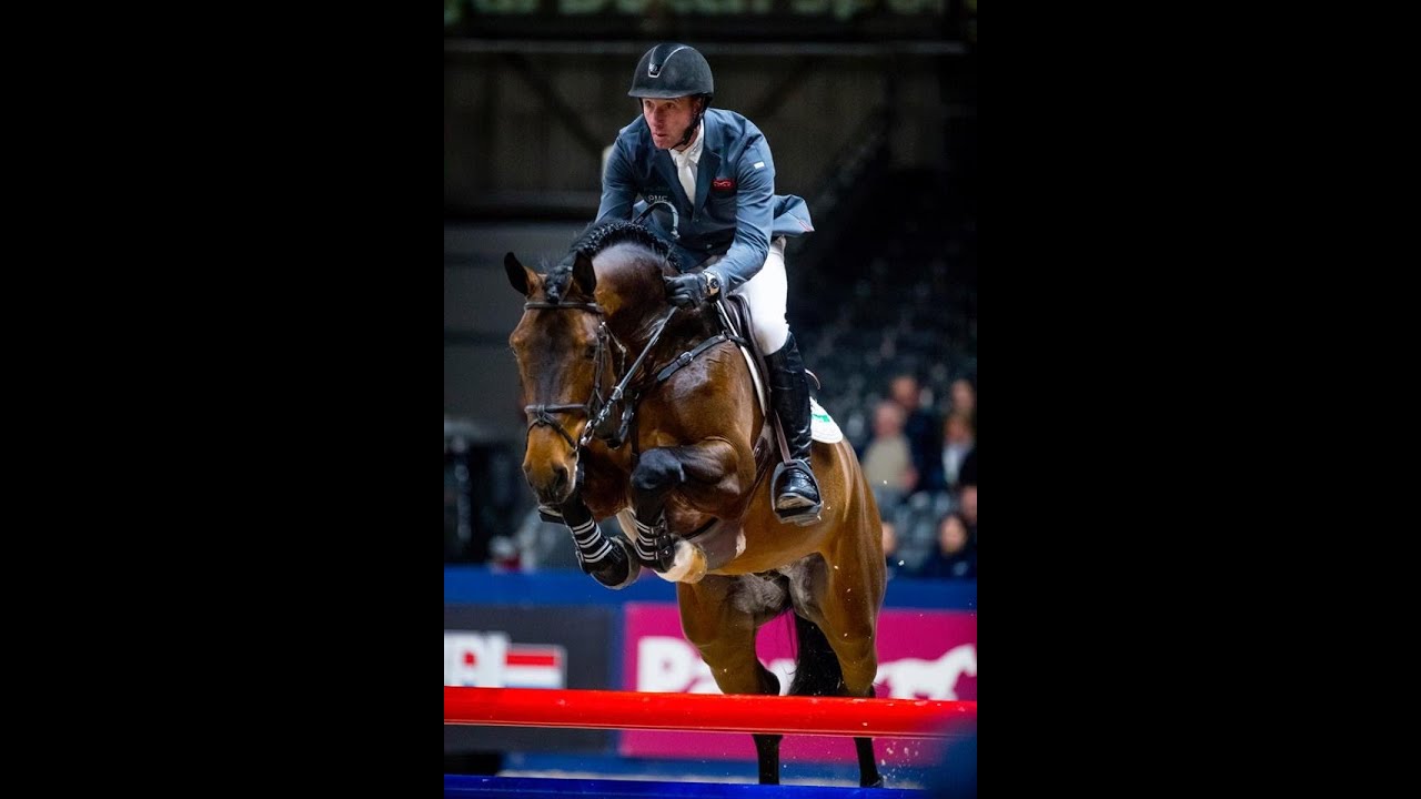 Impressive VDL Stud Stallion Show 2021