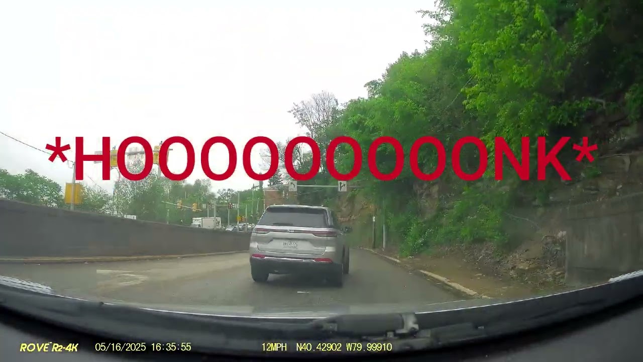 People Who Honk In Tunnels #4