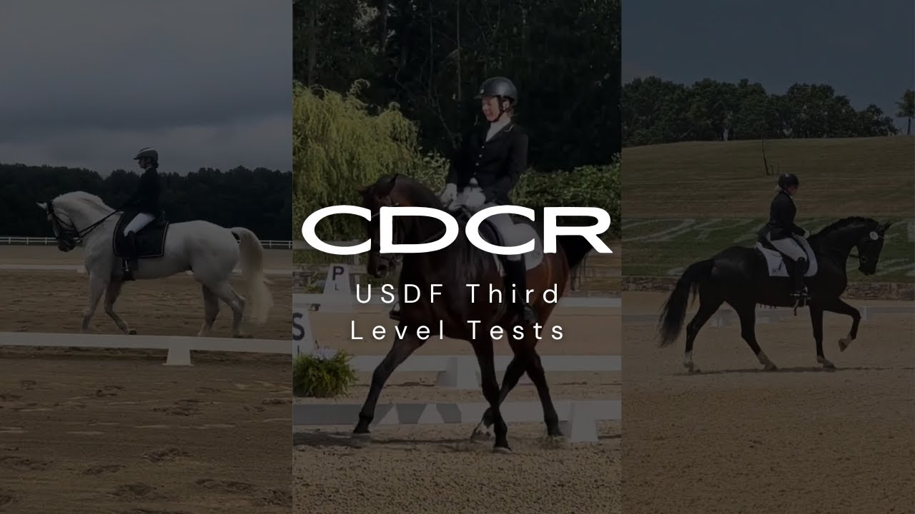 Тесты третьего уровня USDF | Обзор тренера по классической выездке | Тесты по выездке